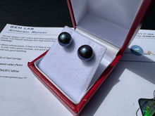 Load image into Gallery viewer, #906 - Blue Akoya Pearl, 14kt Yellow Gold Earrings