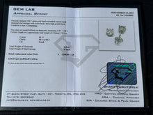 Load image into Gallery viewer, #554 - .50 Carat Diamond TW 14k White Gold, Screwback Studs. NEW.