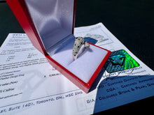 Load image into Gallery viewer, #869 - 14kt White Gold EFFY Diamond Panther Ring, Size 7
