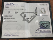 Load image into Gallery viewer, #429 - 14k White Gold, 1/4ct Diamond Earrings w/ Clutch Backings