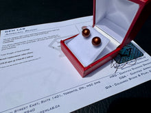 Load image into Gallery viewer, #904 - Brown Akoya Peal, 14kt Yellow Gold Earrings
