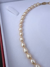 Load image into Gallery viewer, #418 - 14k Yellow Gold, Chinese Freshwater Pearl Necklace, 16” Length
