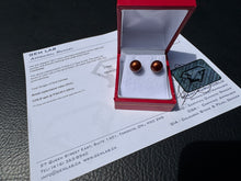 Load image into Gallery viewer, #904 - Brown Akoya Peal, 14kt Yellow Gold Earrings
